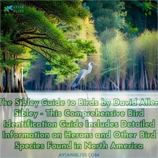 The Sibley Guide to Birds by David Allen Sibley - This Comprehensive Bird Identification Guide Includes Detailed