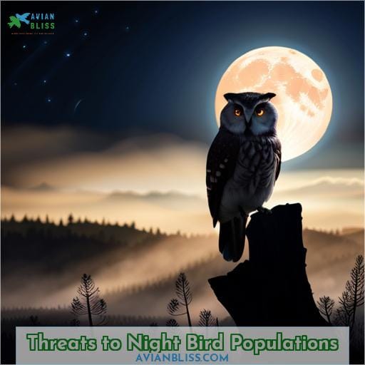 Threats to Night Bird Populations