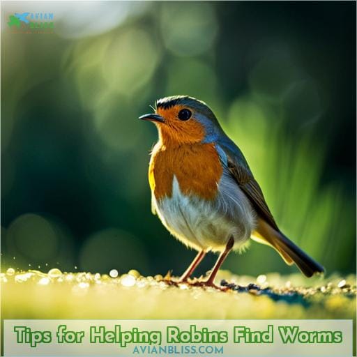 Tips for Helping Robins Find Worms