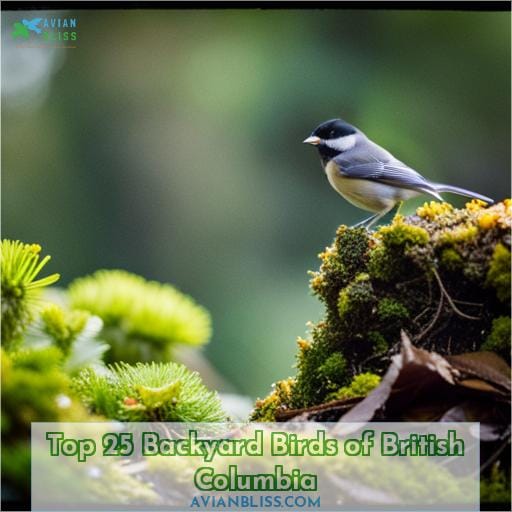 Top 25 Backyard Birds of British Columbia