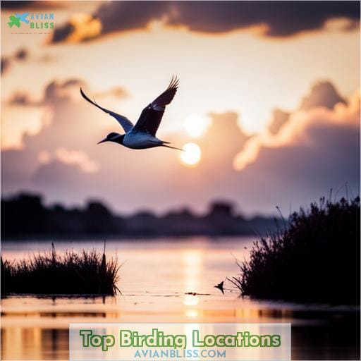 Top Birding Locations
