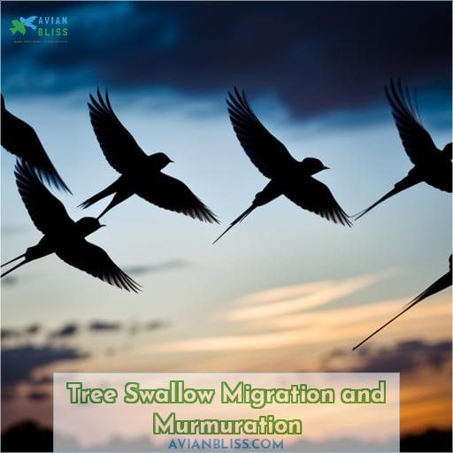 Tree Swallow Migration and Murmuration