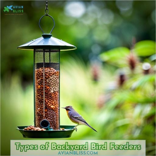 Types of Backyard Bird Feeders