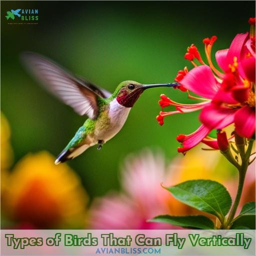 Types of Birds That Can Fly Vertically
