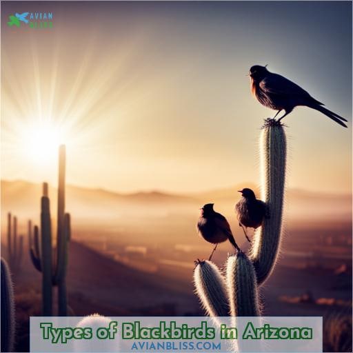 Types of Blackbirds in Arizona