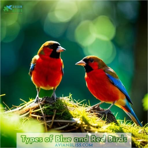 Types of Blue and Red Birds