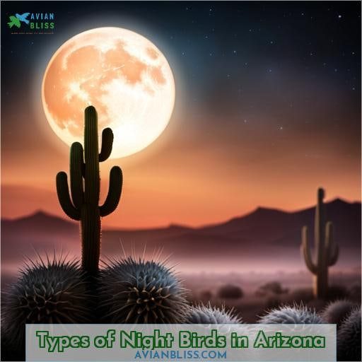 Types of Night Birds in Arizona