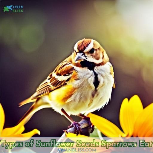 Types of Sunflower Seeds Sparrows Eat