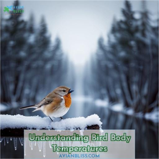 Understanding Bird Body Temperatures