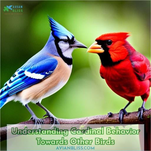 Understanding Cardinal Behavior Towards Other Birds