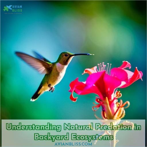 Understanding Natural Predation in Backyard Ecosystems