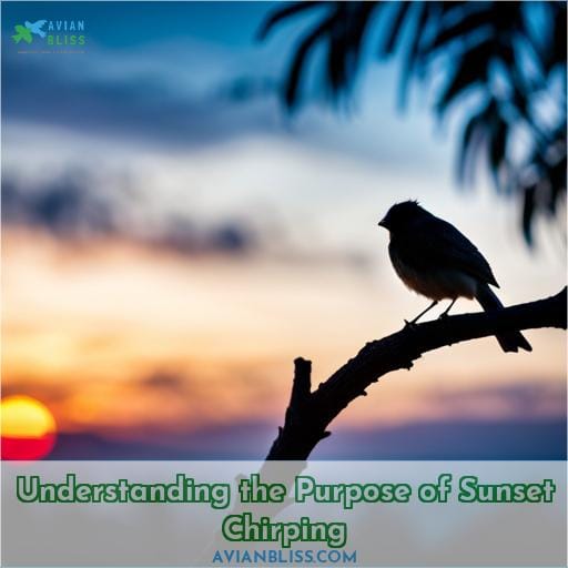 Understanding the Purpose of Sunset Chirping