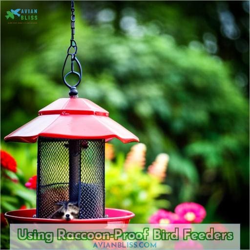 Using Raccoon-Proof Bird Feeders