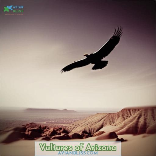 Vultures of Arizona