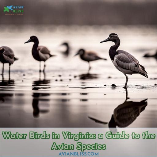 water birds in virginia