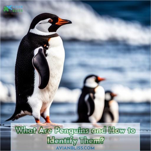 What Are Penguins and How to Identify Them