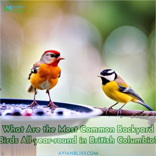 What Are the Most Common Backyard Birds All-year-round in British Columbia