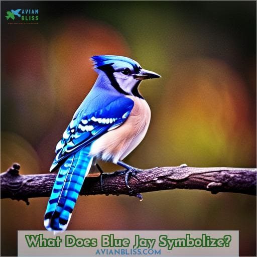 What Does Blue Jay Symbolize