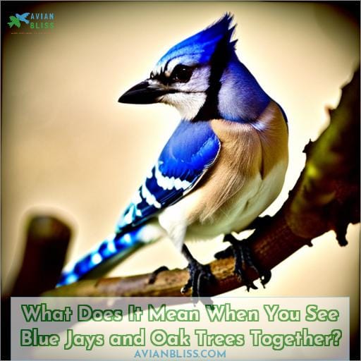 What Does It Mean When You See Blue Jays and Oak Trees Together