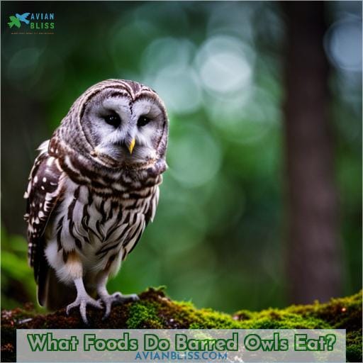 What Foods Do Barred Owls Eat