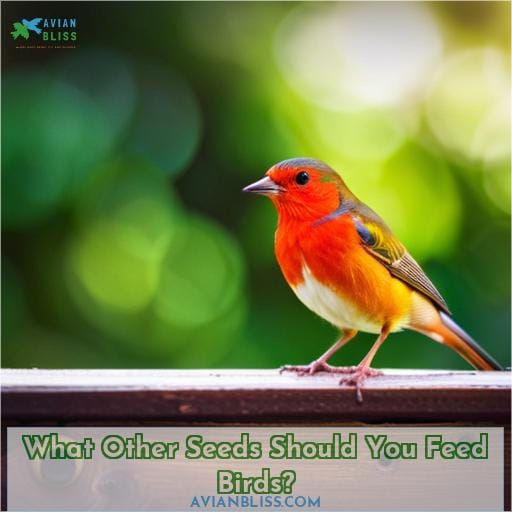 What Other Seeds Should You Feed Birds