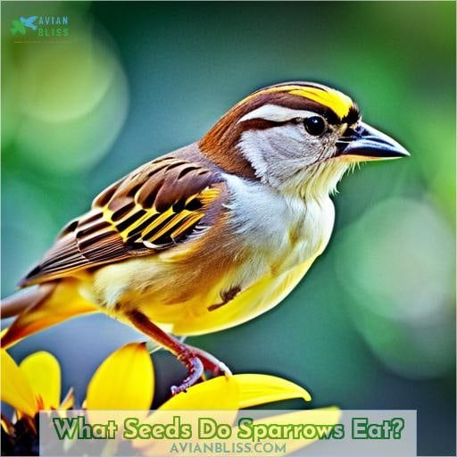 What Seeds Do Sparrows Eat
