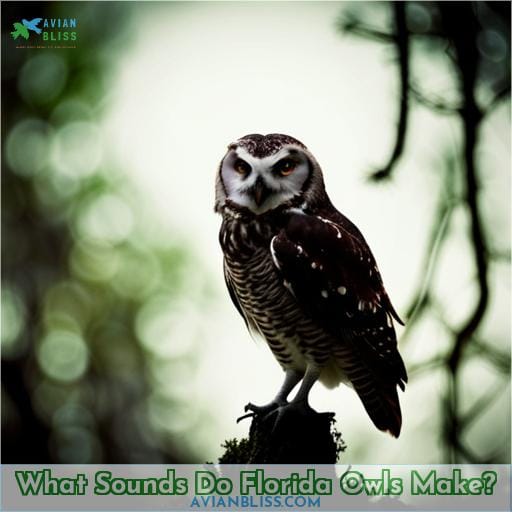 What Sounds Do Florida Owls Make