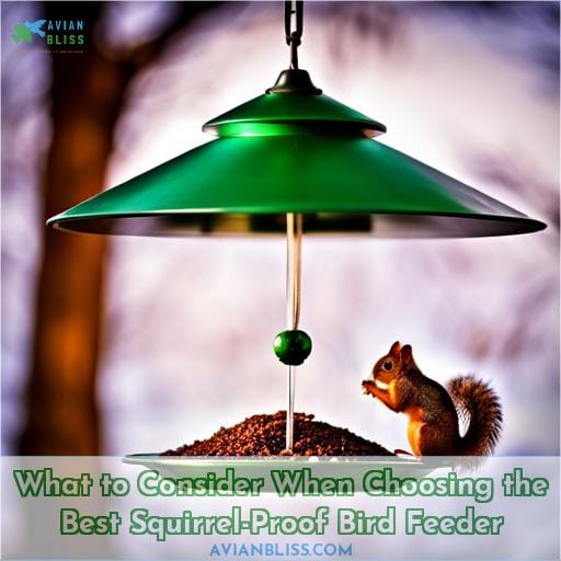What to Consider When Choosing the Best Squirrel-Proof Bird Feeder