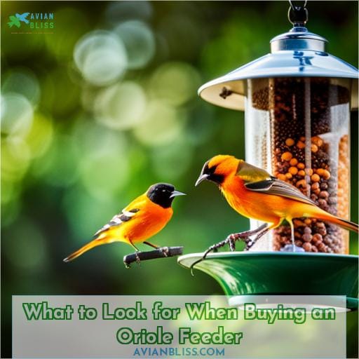 What to Look for When Buying an Oriole Feeder