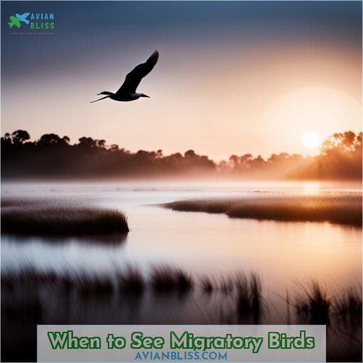 When to See Migratory Birds