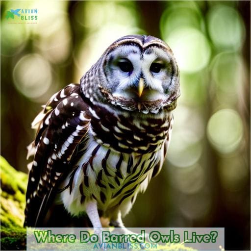 Where Do Barred Owls Live