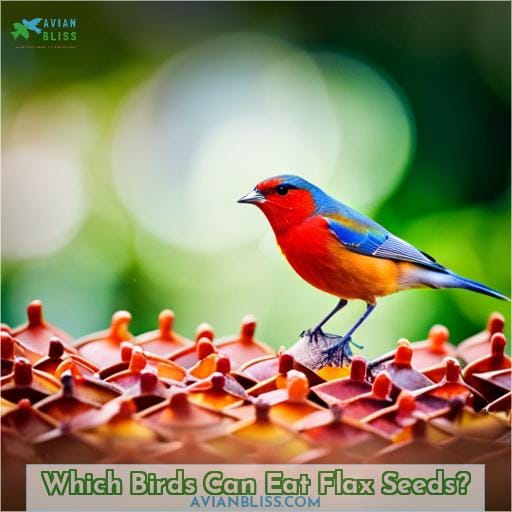 Which Birds Can Eat Flax Seeds