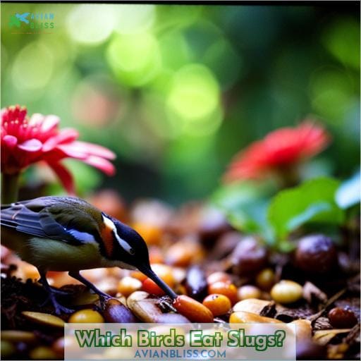 Which Birds Eat Slugs