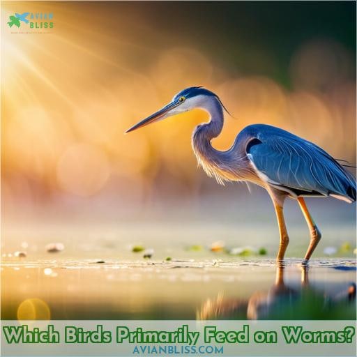 Which Birds Primarily Feed on Worms