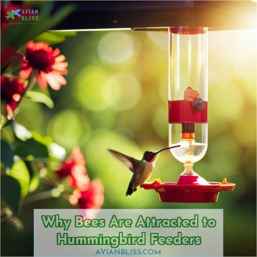 Why Bees Are Attracted to Hummingbird Feeders