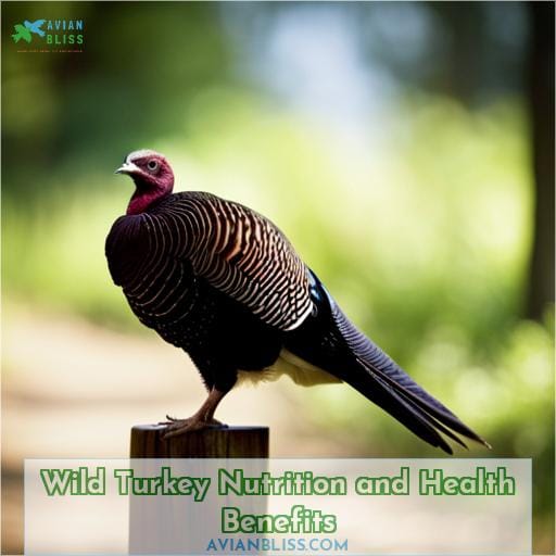 Wild Turkey Nutrition and Health Benefits