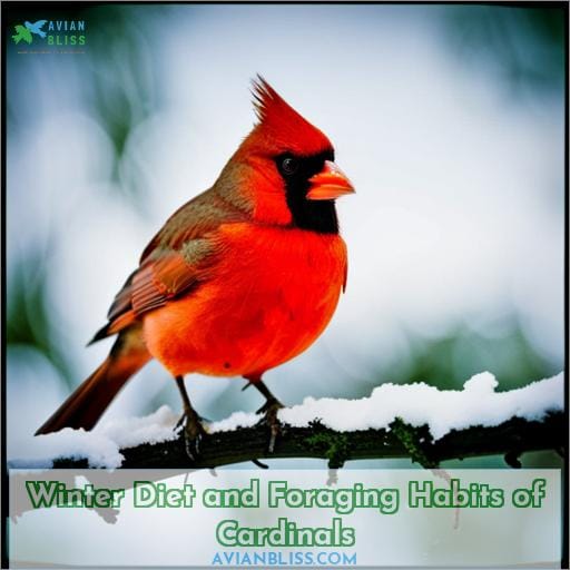 Winter Diet and Foraging Habits of Cardinals