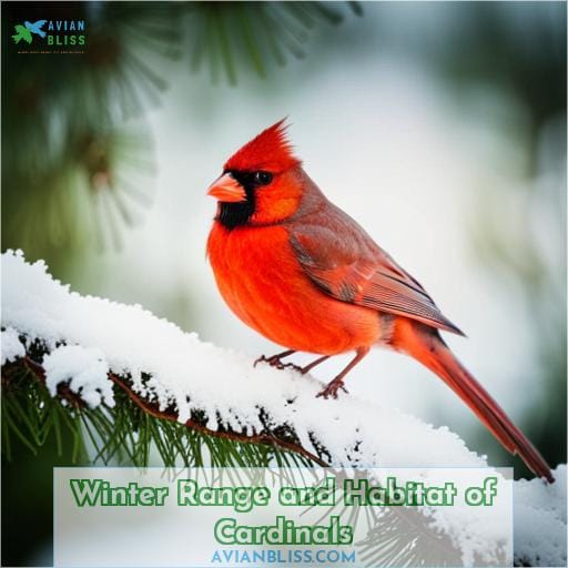 Winter Range and Habitat of Cardinals
