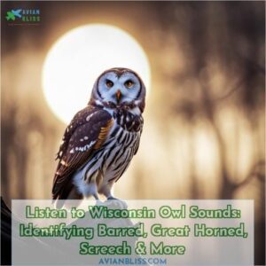 wisconsin owl sounds