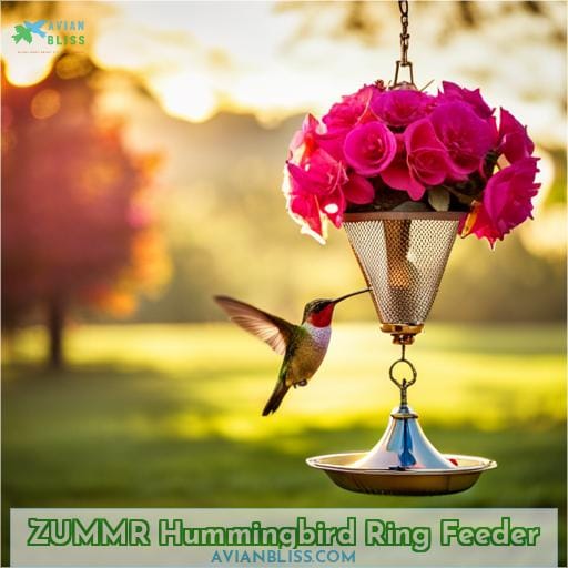 ZUMMR Hummingbird Ring Feeder