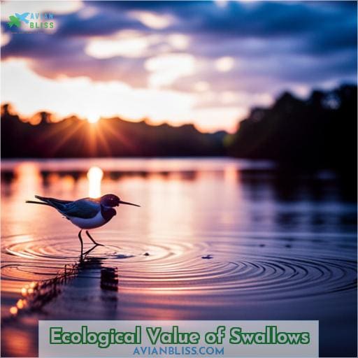Ecological Value of Swallows