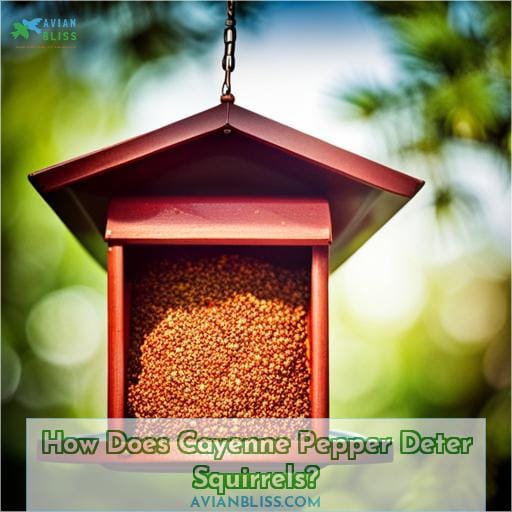 How Does Cayenne Pepper Deter Squirrels