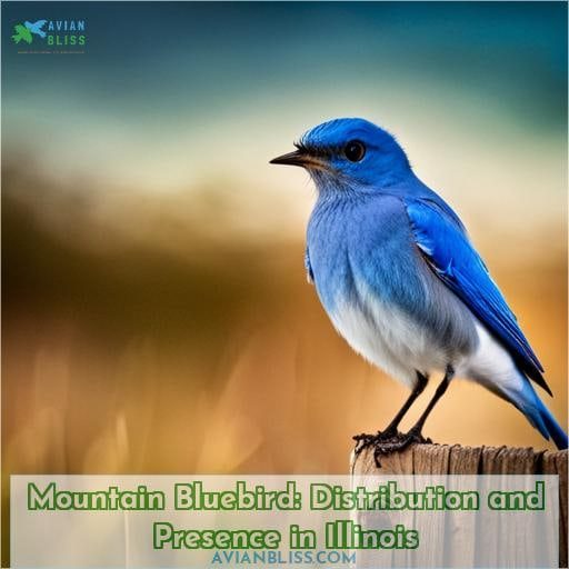 Mountain Bluebird: Distribution and Presence in Illinois