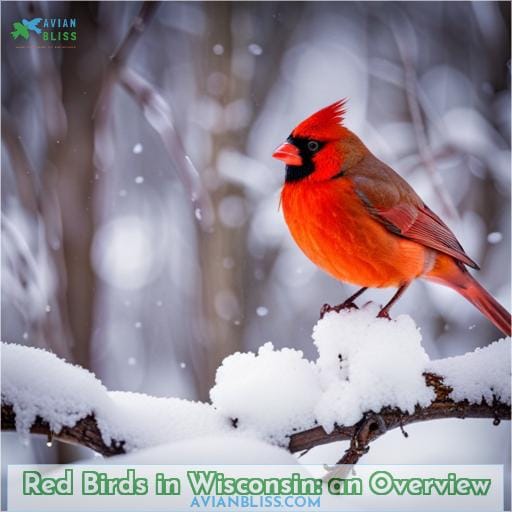 Red Birds in Wisconsin: an Overview