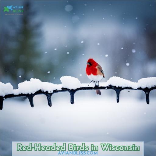 Red-Headed Birds in Wisconsin