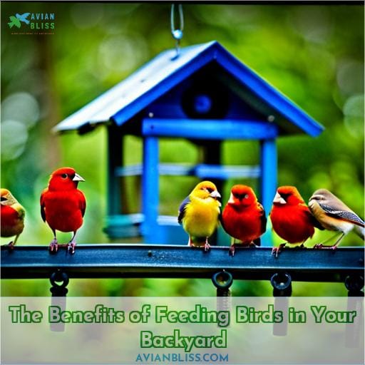 The Benefits of Feeding Birds in Your Backyard