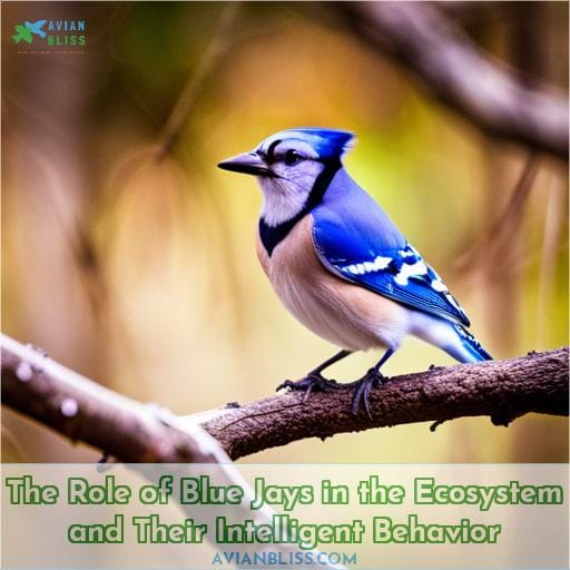 The Role of Blue Jays in the Ecosystem and Their Intelligent Behavior