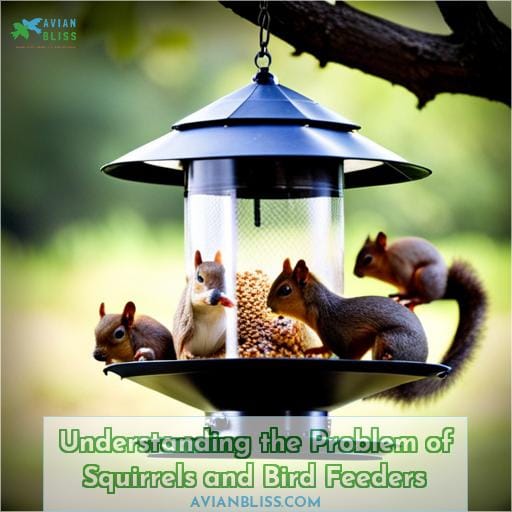 Understanding the Problem of Squirrels and Bird Feeders