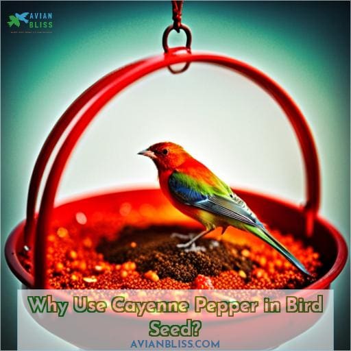 Why Use Cayenne Pepper in Bird Seed