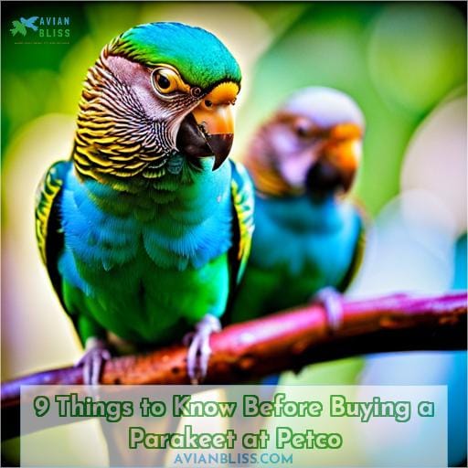 9 Things to Know Before Buying a Parakeet at Petco